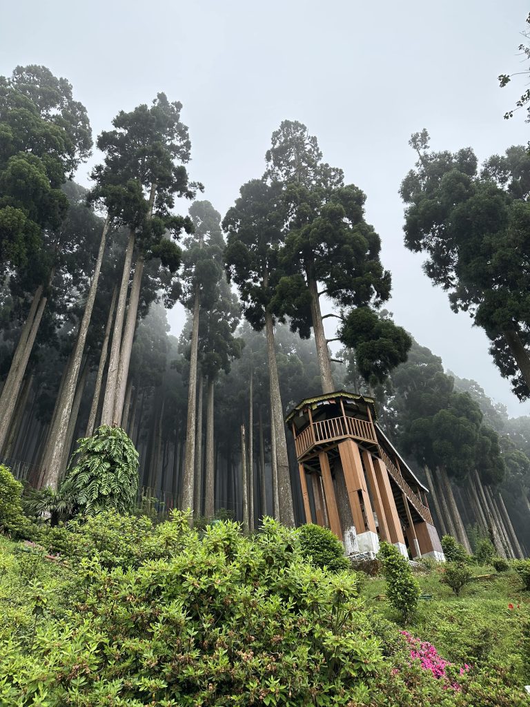 Darjeeling Llamahatta